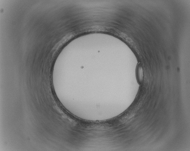 X0000076250625200610191649