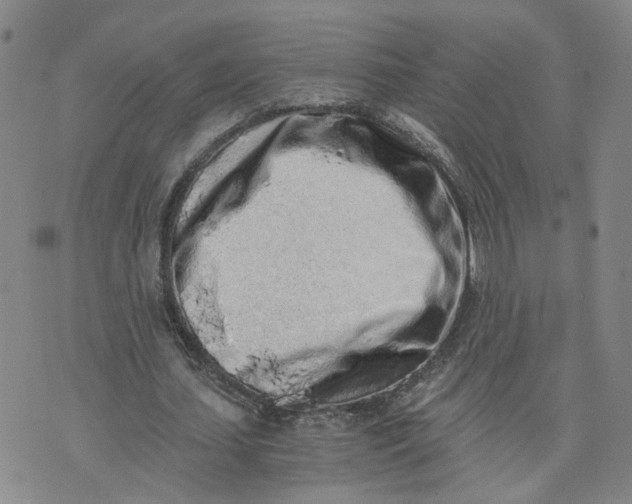 X0000076250627200610191649