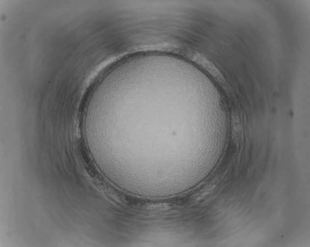 X0000076250628200610191649