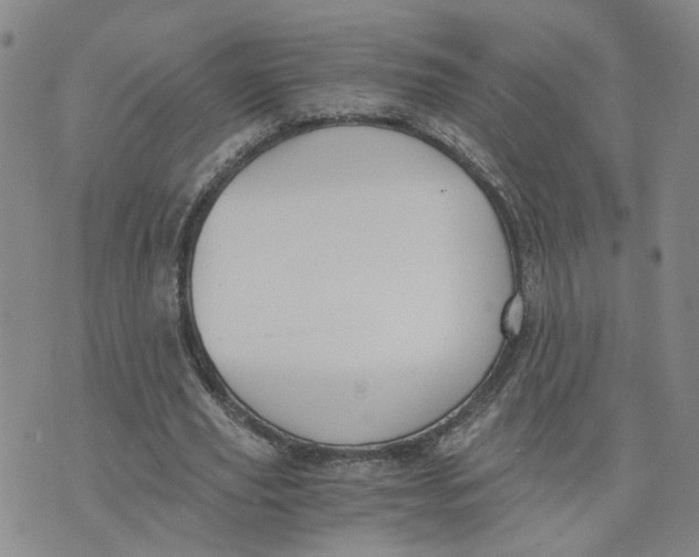 X0000076250629200610191649