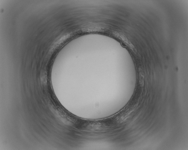 X0000076250631200610191649