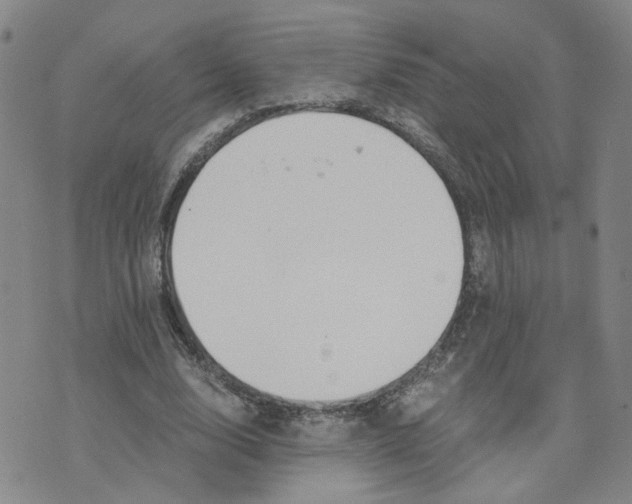 X0000076250632200610191649