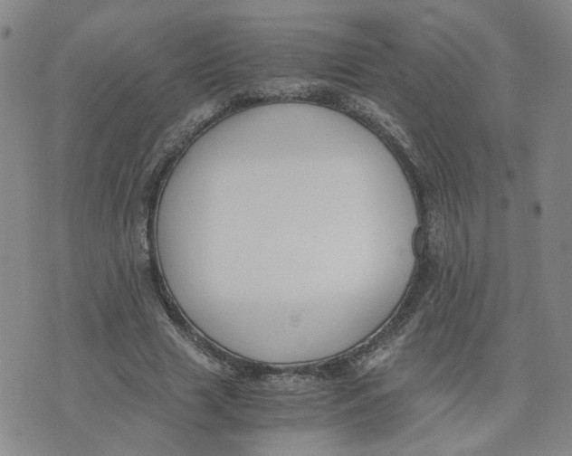 X0000076250633200610191650