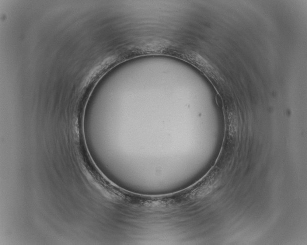 X0000076250634200610191650