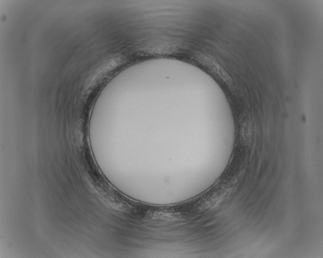 X0000076250635200610191650