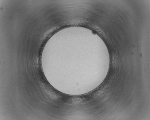 X0000076250636200610191650