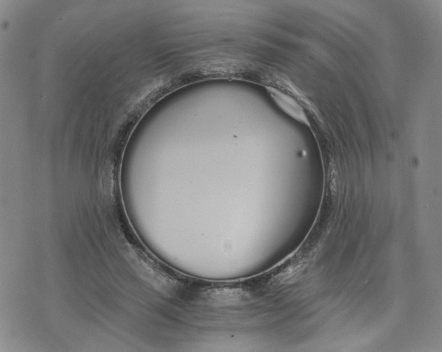 X0000076250637200610191650