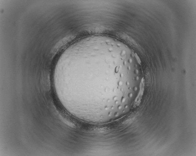 X0000076250638200610191650