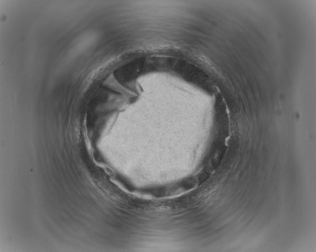 X0000076250640200610191650