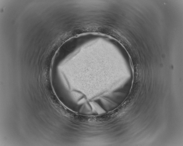 X0000076250641200610191650