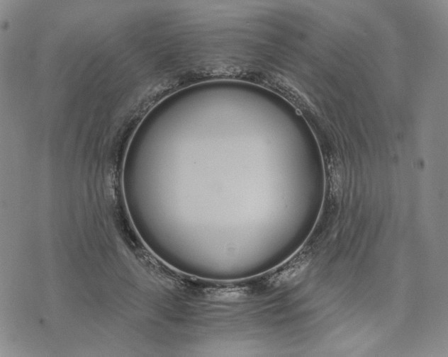 X0000076250643200610191650