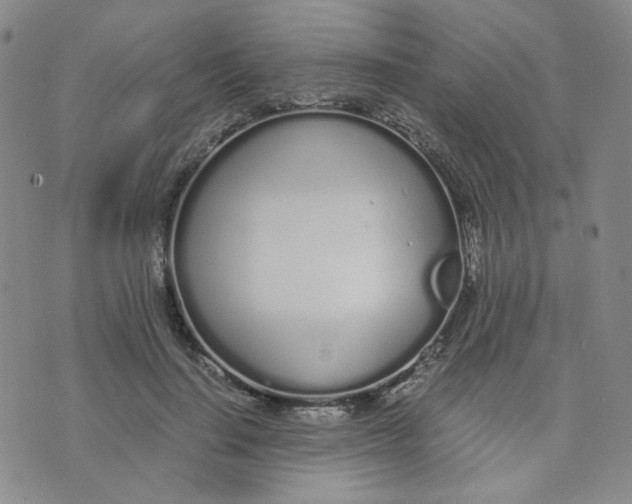 X0000076250644200610191650