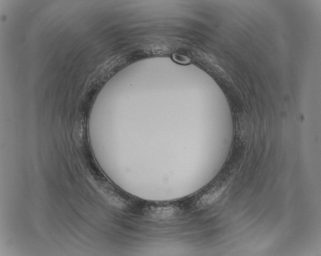 X0000076250645200610191650