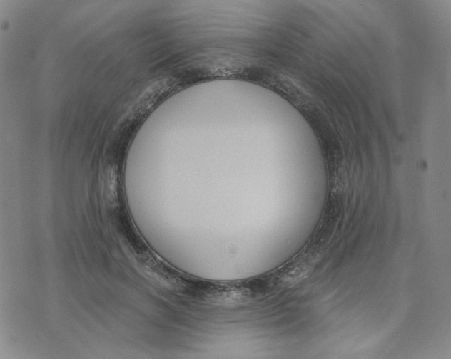 X0000076250646200610191650