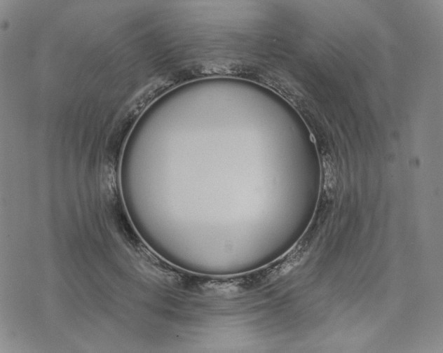 X0000076250648200610191650