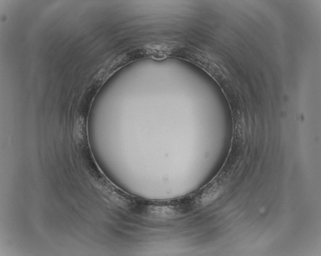 X0000076250649200610191650