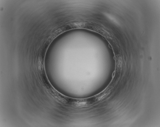 X0000076250651200610191650