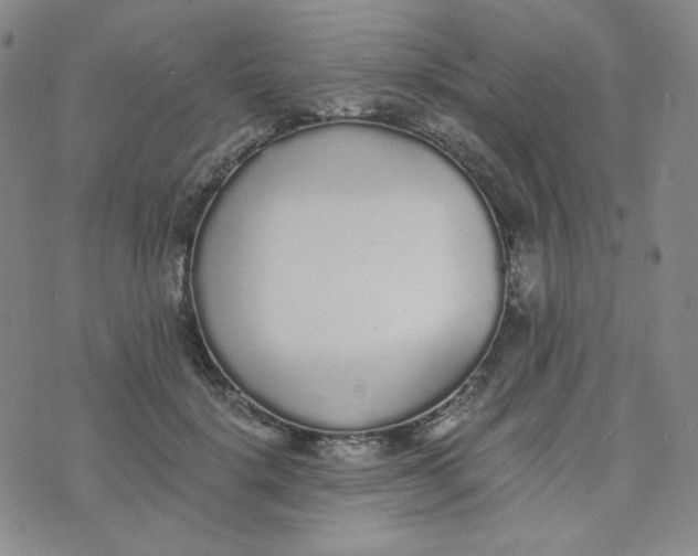 X0000076250652200610191650