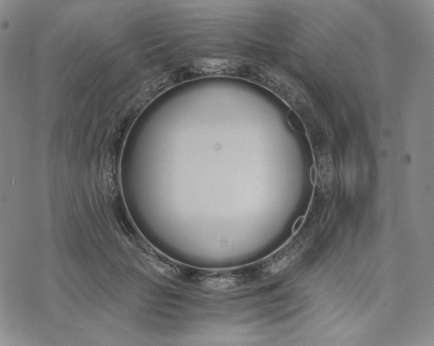 X0000076250653200610191650