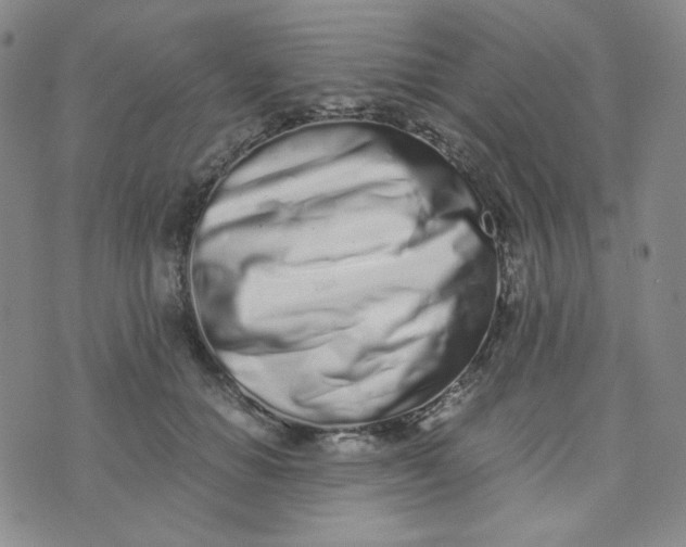 X0000076250654200610191650