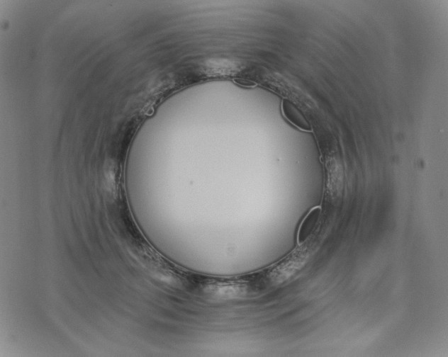 X0000076250655200610191650