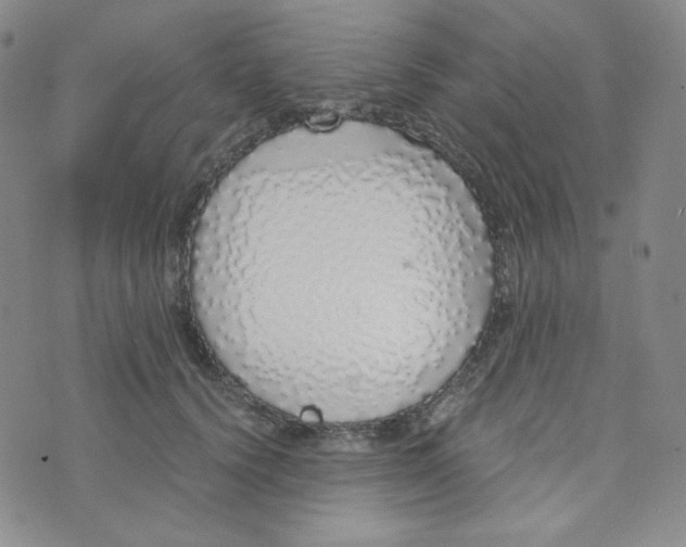 X0000076250656200610191650