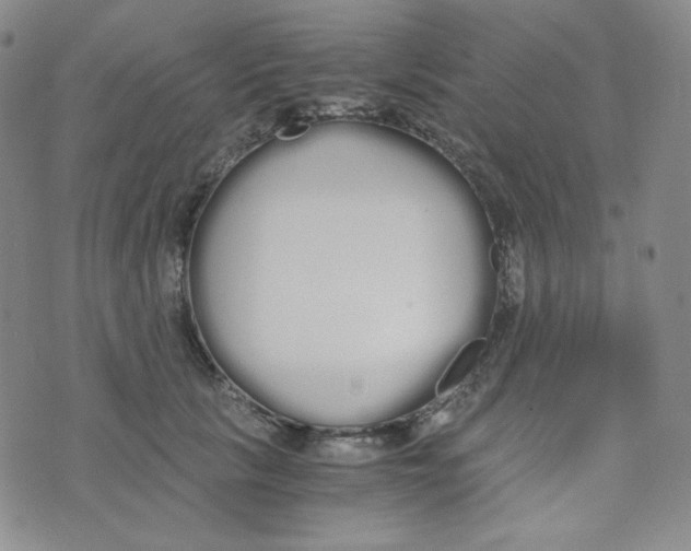 X0000076250657200610191650