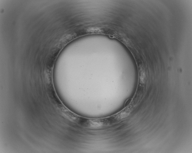 X0000076250658200610191650