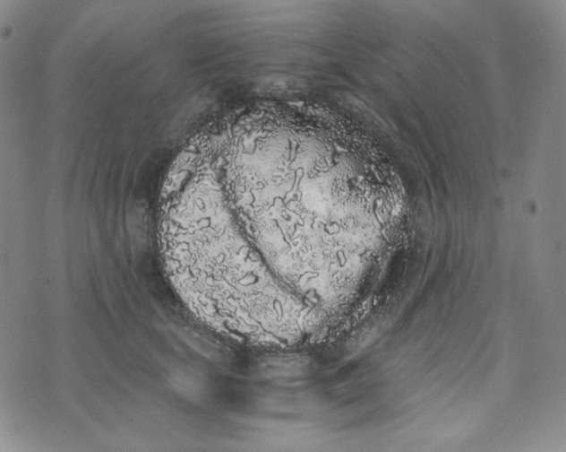 X0000076250659200610191650