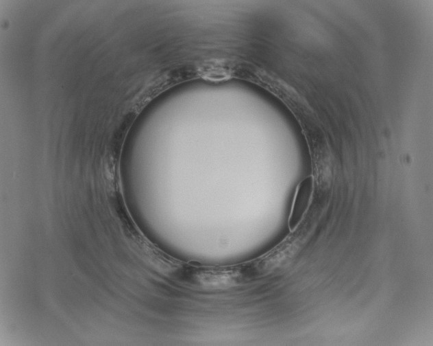 X0000076250661200610191650