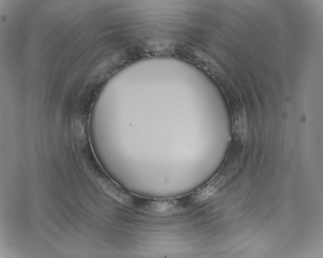 X0000076250662200610191650