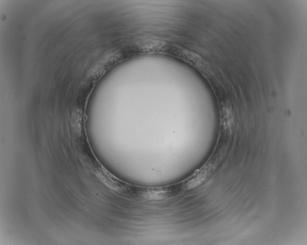 X0000076250664200610191650