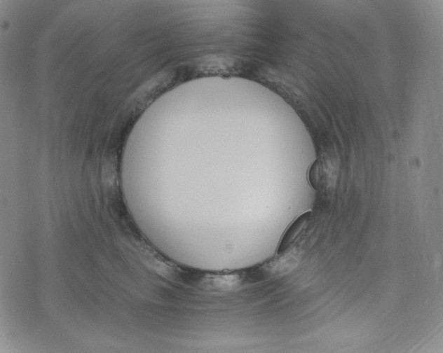 X0000076250665200610191650