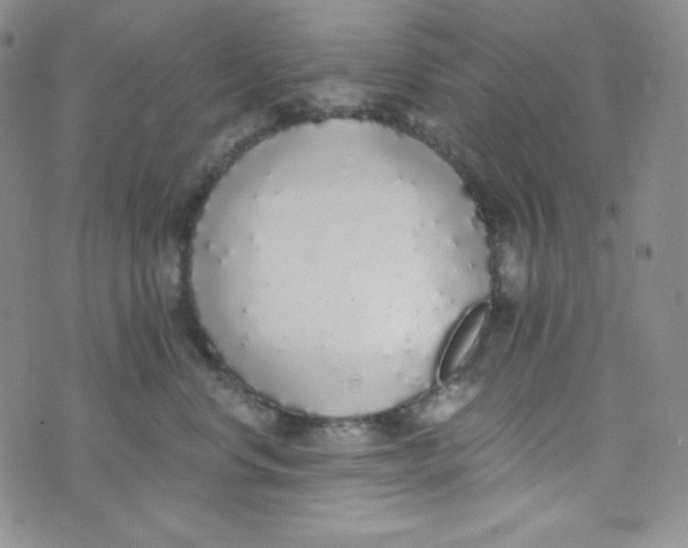 X0000076250668200610191650