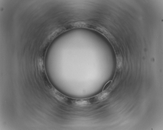 X0000076250669200610191650