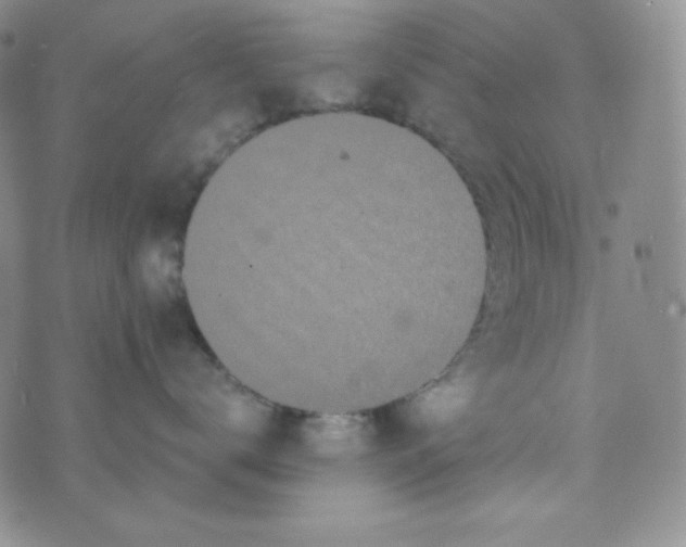 X0000076250672200610191650