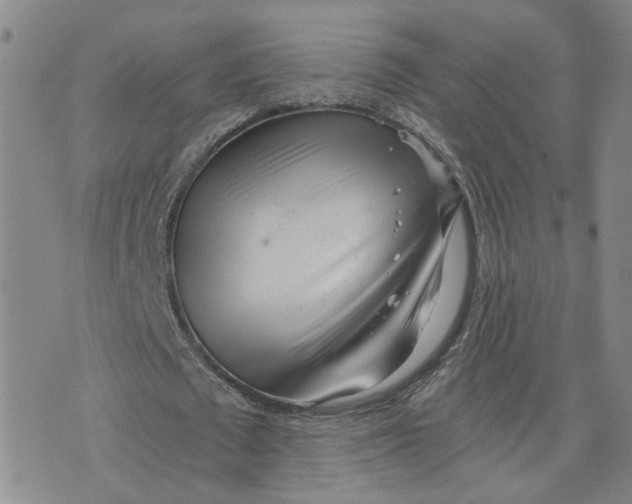 X0000076250673200610191649