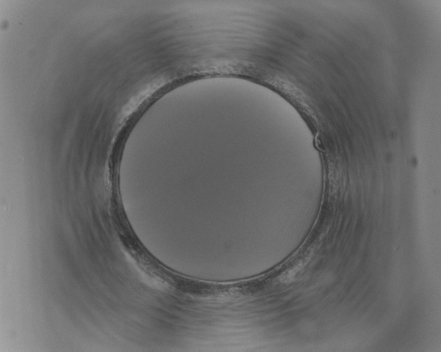 X0000076250674200610191649