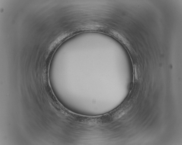 X0000076250675200610191649