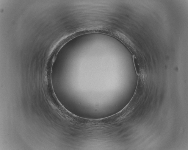 X0000076250676200610191649