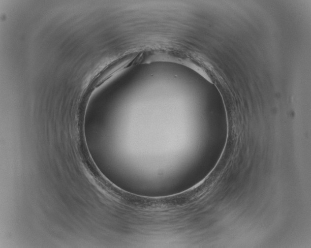 X0000076250677200610191649