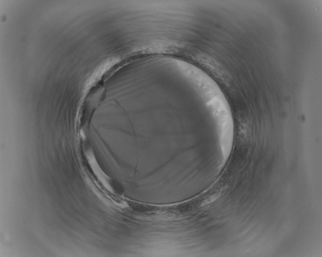 X0000076250678200610191649