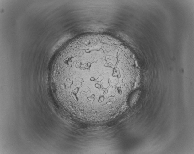 X0000076250679200610191649