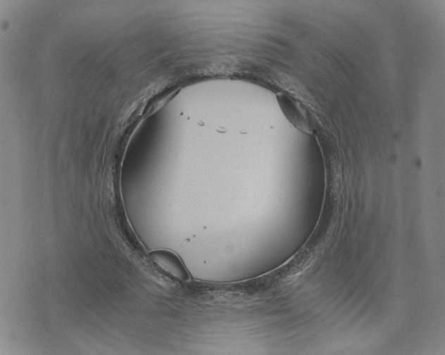 X0000076250681200610191649