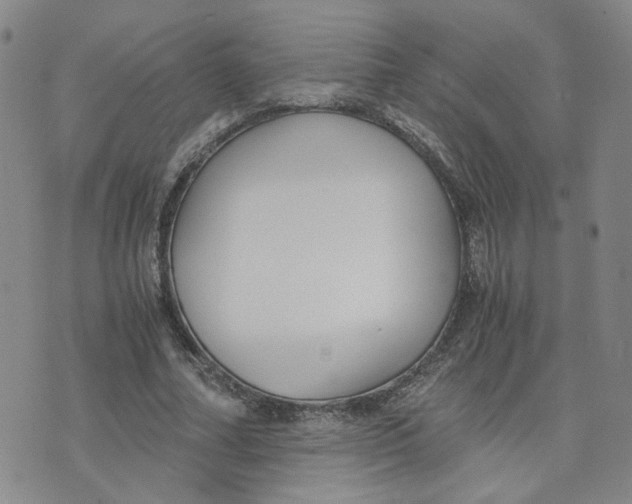 X0000076250682200610191649