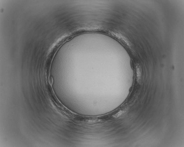 X0000076250684200610191649