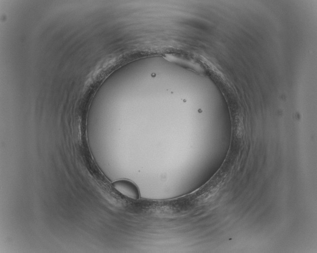 X0000076250685200610191649