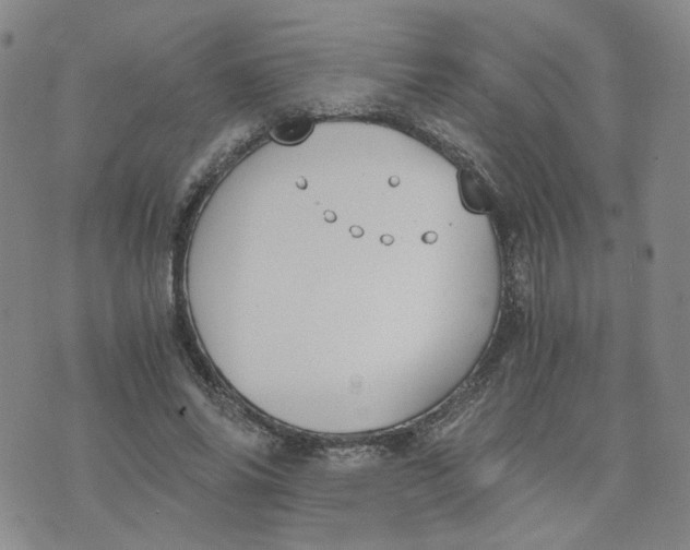 X0000076250686200610191649