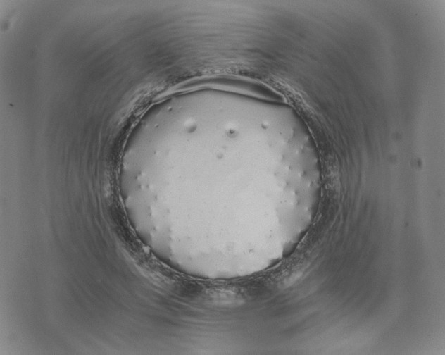 X0000076250687200610191649