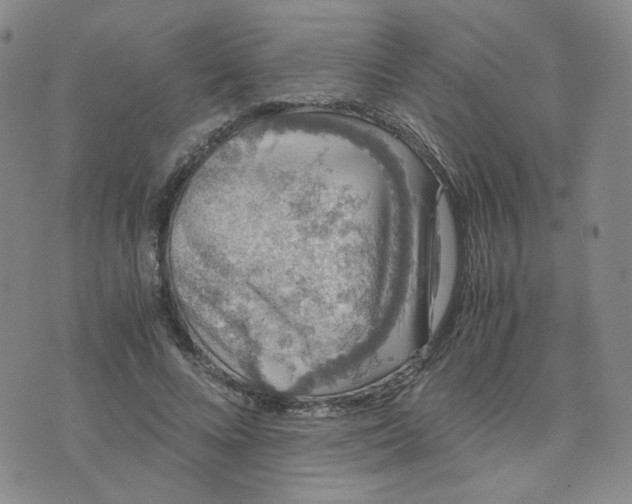 X0000076250688200610191649